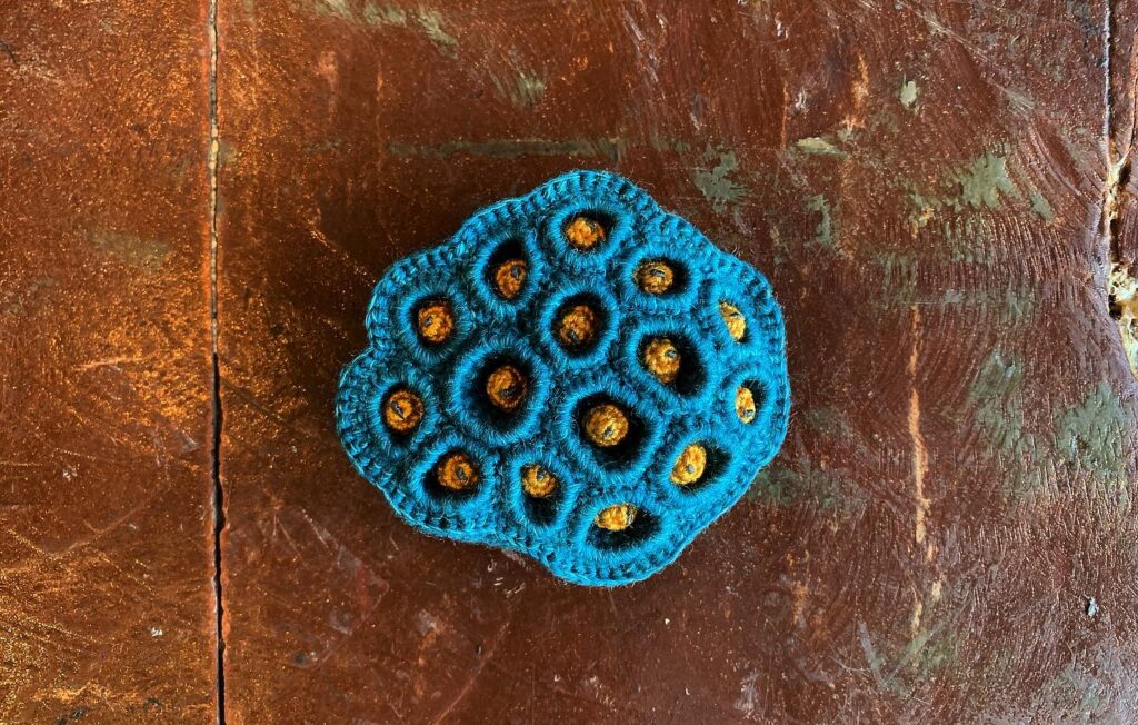 I Can't Stop Looking At This Crochet Lotus Fruit