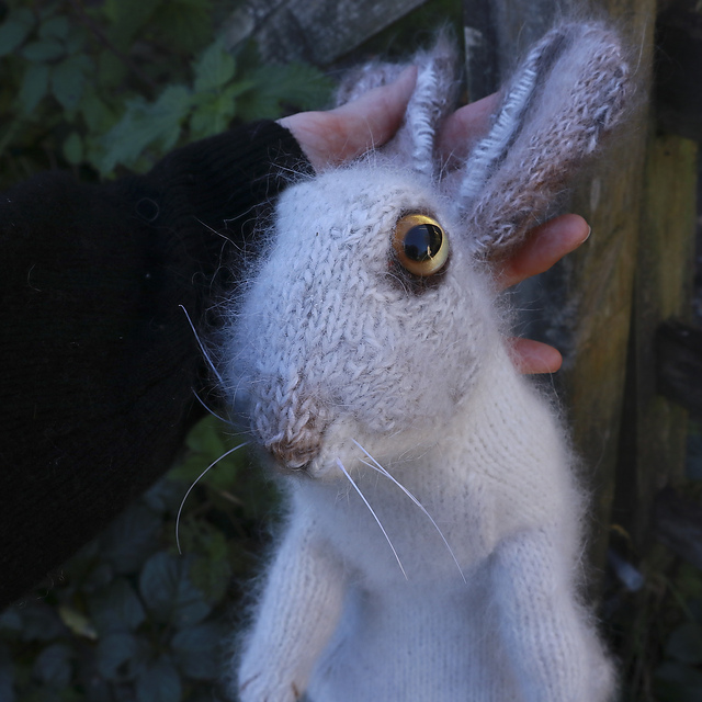 Knit a Striking Snowshoe Hare Amigurumi Designed By Claire Garland ... So Striking!