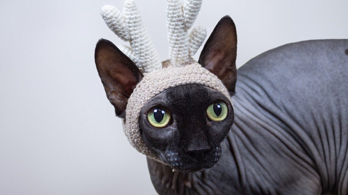Crochet a Reindeer Cosplay Hat For Your Kitty-Cat