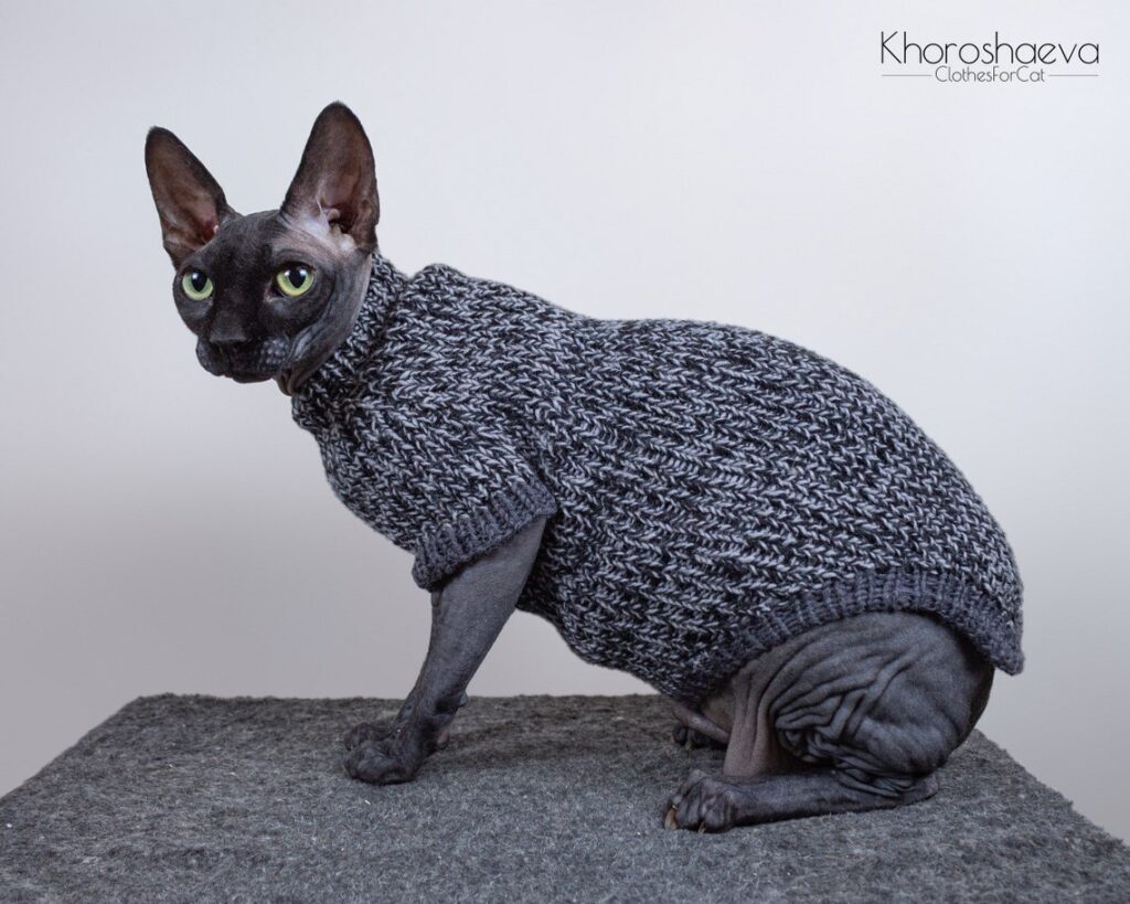 Knit The Purrfect Sweater For Your Fancy Feline Friend