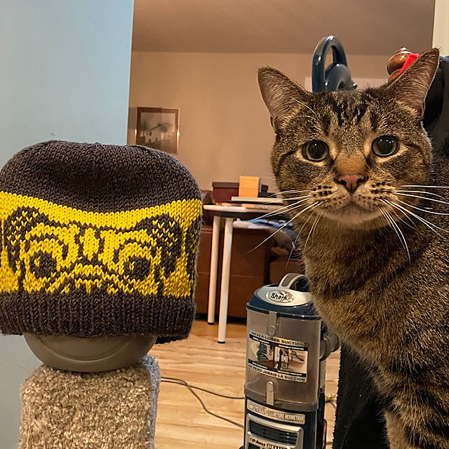 A Hat For All Dog Lovers Designed By Katie Pomper ... It's a Doggone  Dandy!