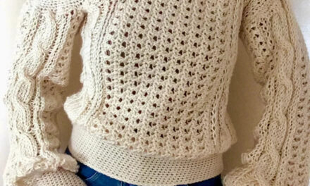 If You Knit & Crochet, Have I Found A Sweater Pattern For YOU … It’s Gorgeous!