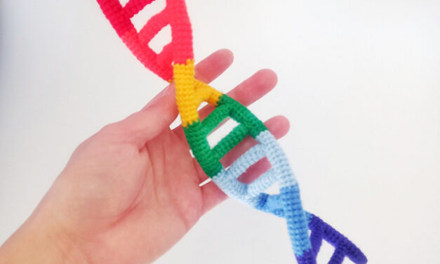 Two Ways To Crochet DNA … Get The Pattern Or Have One Made!