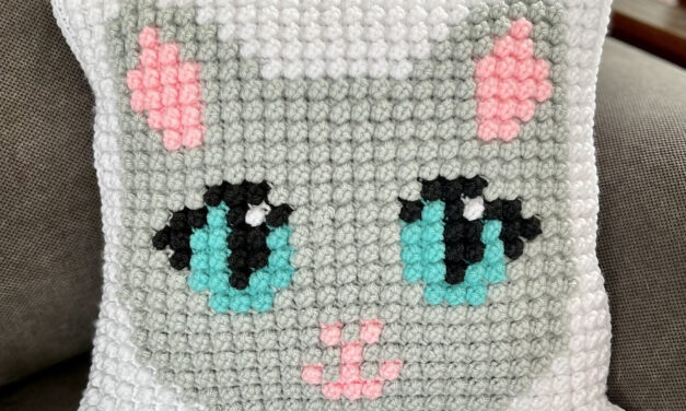 Adorable Kitty-Cat Pillow Made With Single Crochet Bobbles