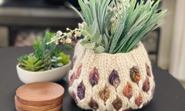 Knit a Yarn Bowl … Looks Great and It’s Practical Too!