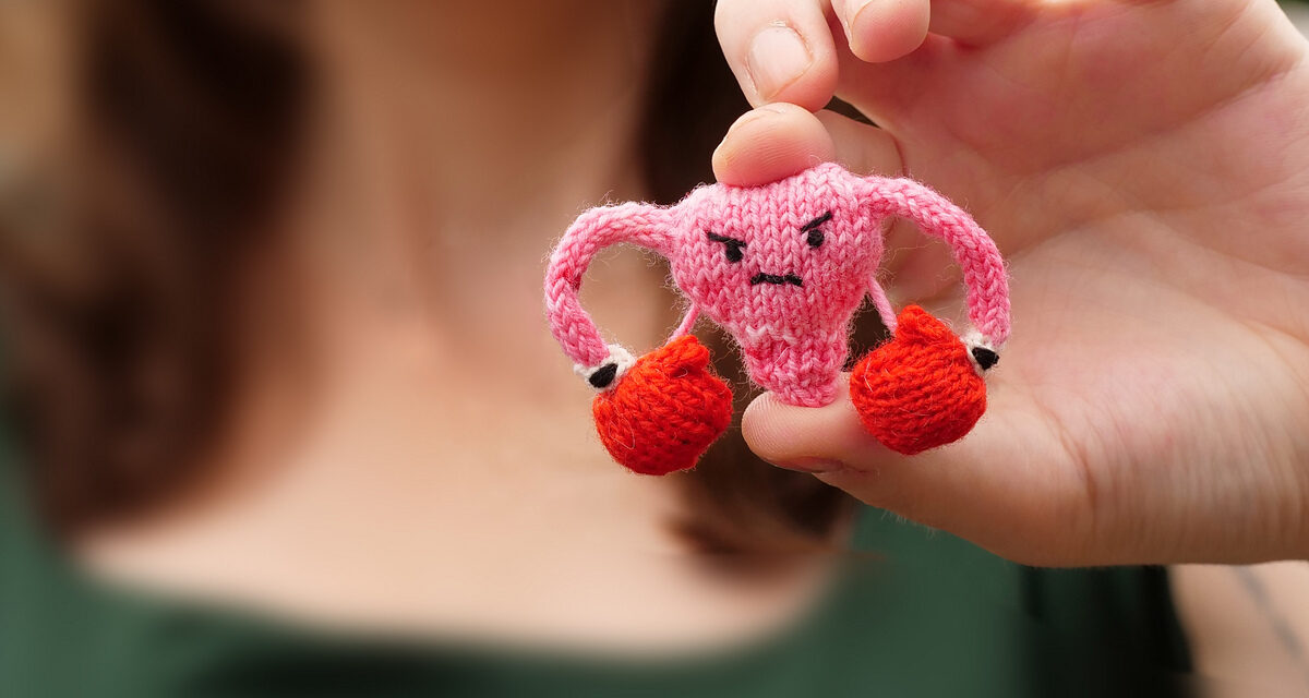 Fumin’ Womb Amigurumi, Knit Pattern Designed By Mochimochi Land’s Anna Hrachovec For Knitty