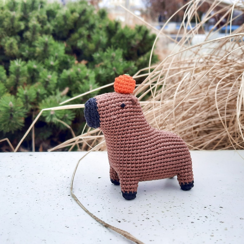 Crochet a Capybara Amigurumi