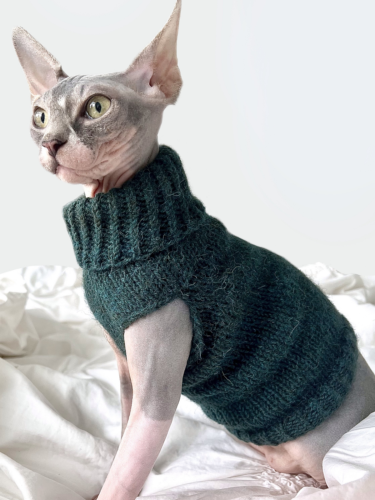 Luna Is An Easy-Knit Three-Hour Cat Sweater That Comes In Five Sizes!
