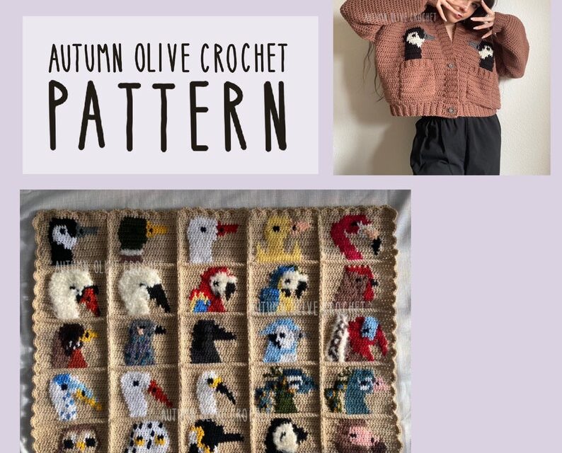 Crochet a Duck Duck Goose Cardigan … Pattern Offers 25 Birds To Choose From!