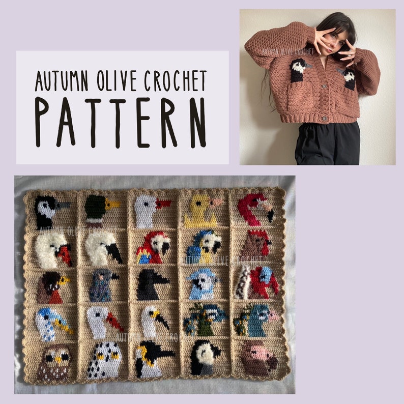 Crochet a Duck Duck Goose Cardigan ... Pattern Offers 25 Birds To Choose From!
