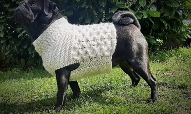 Knit a Violet’s Pug Jumper … the Perfect Sweater Pattern for a Pug OR Frenchie!