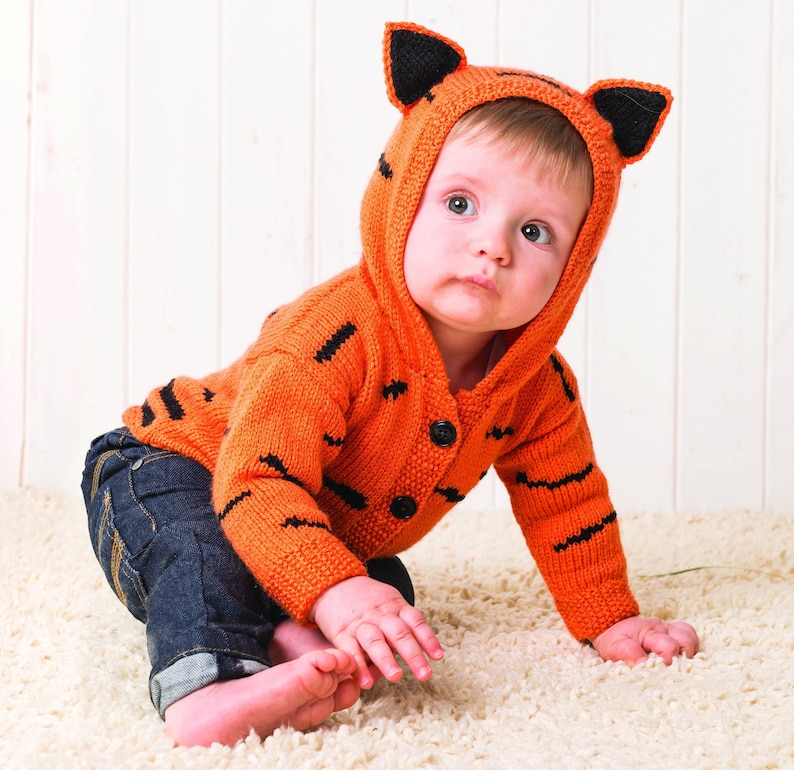 Knit a Freddie Purrcury Cat Cushion Designed By Jane Burns