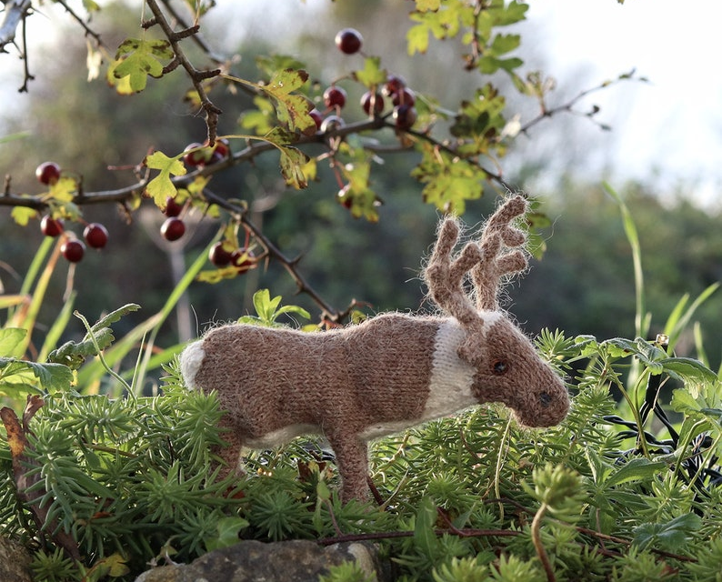 ‘Tis The Season To Knit a Tiny Reindeer … Designed By Claire Garland