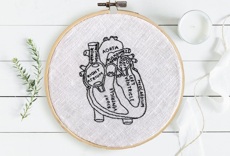 The Best Anatomical Heart Patterns For Knitters and Crocheters!
