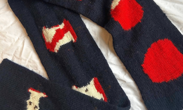 Eaten to the Core: Creative Fruit-Inspired Knitted Scarf Patterns – It’s Wearable Pop Art!