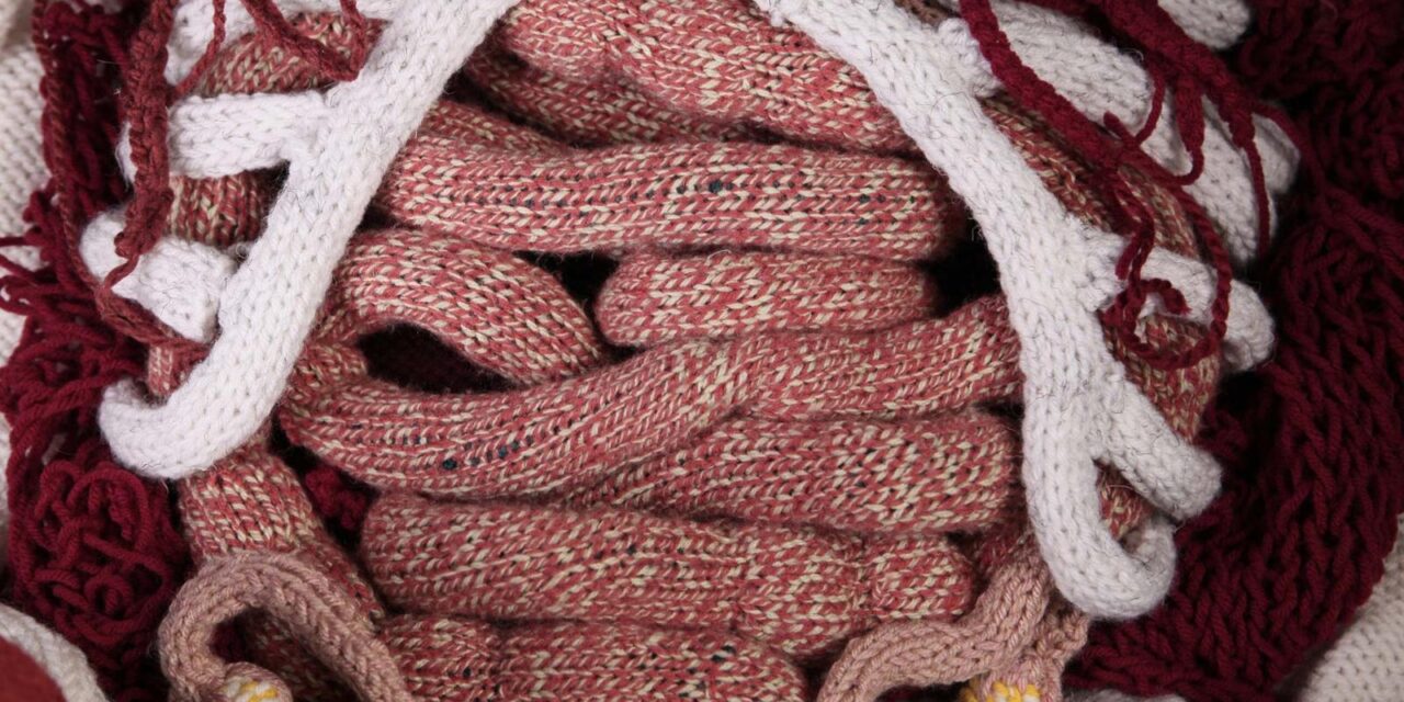 Every Organ. Hand Knitted. This Stop-Motion Animation By Candace Couse Is A Wild Ride.