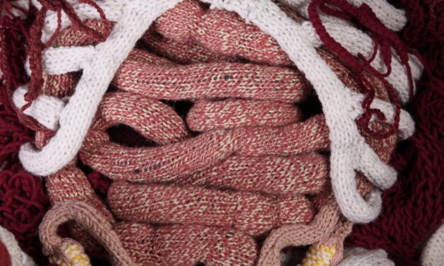 Every Organ. Hand Knitted. This Stop-Motion Animation By Candace Couse Is A Wild Ride.