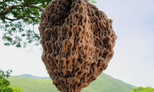 The Best Knitted Gift for Anyone Who Lives Near the Woods