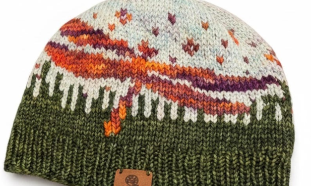 Knit Dragonfly Hat Pattern by Hallie Richter – My Favorite Apex Predator!